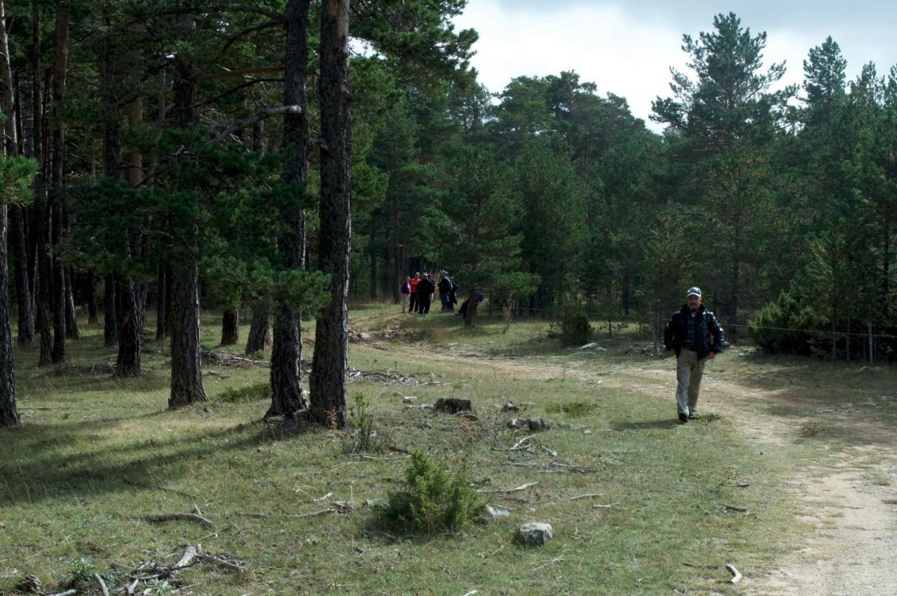 Ferienwohnung Sierra De Gúdar Exterior foto