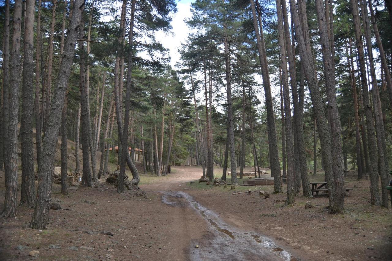 Ferienwohnung Sierra De Gúdar Exterior foto